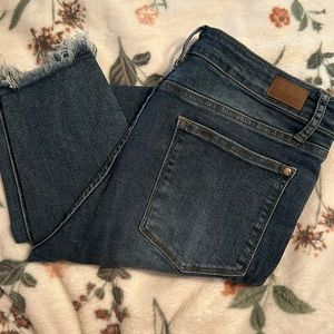 Judy Blue Skinny Fit Jeans size 13/31